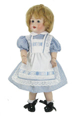 11" Alice in Wonderland Styled Doll Dress