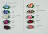 Tea Rose - Open - 1" Assorted Colors